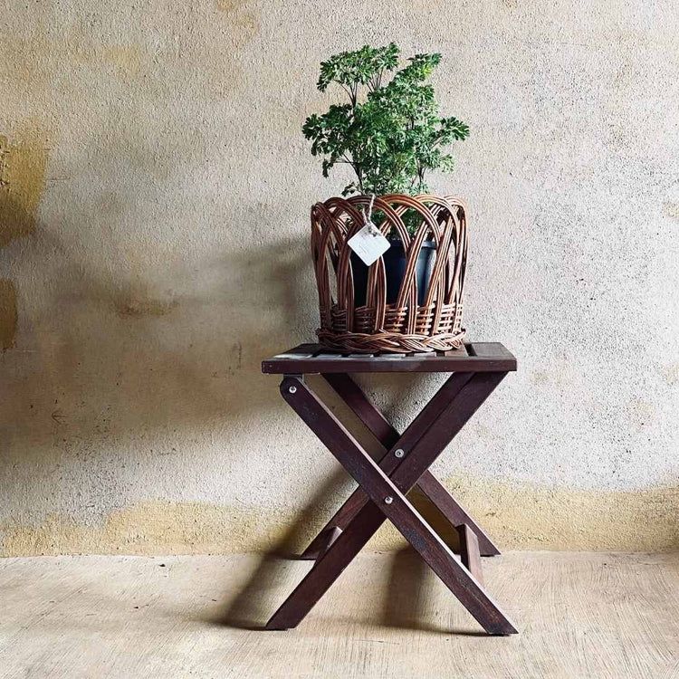 Barney Planter
