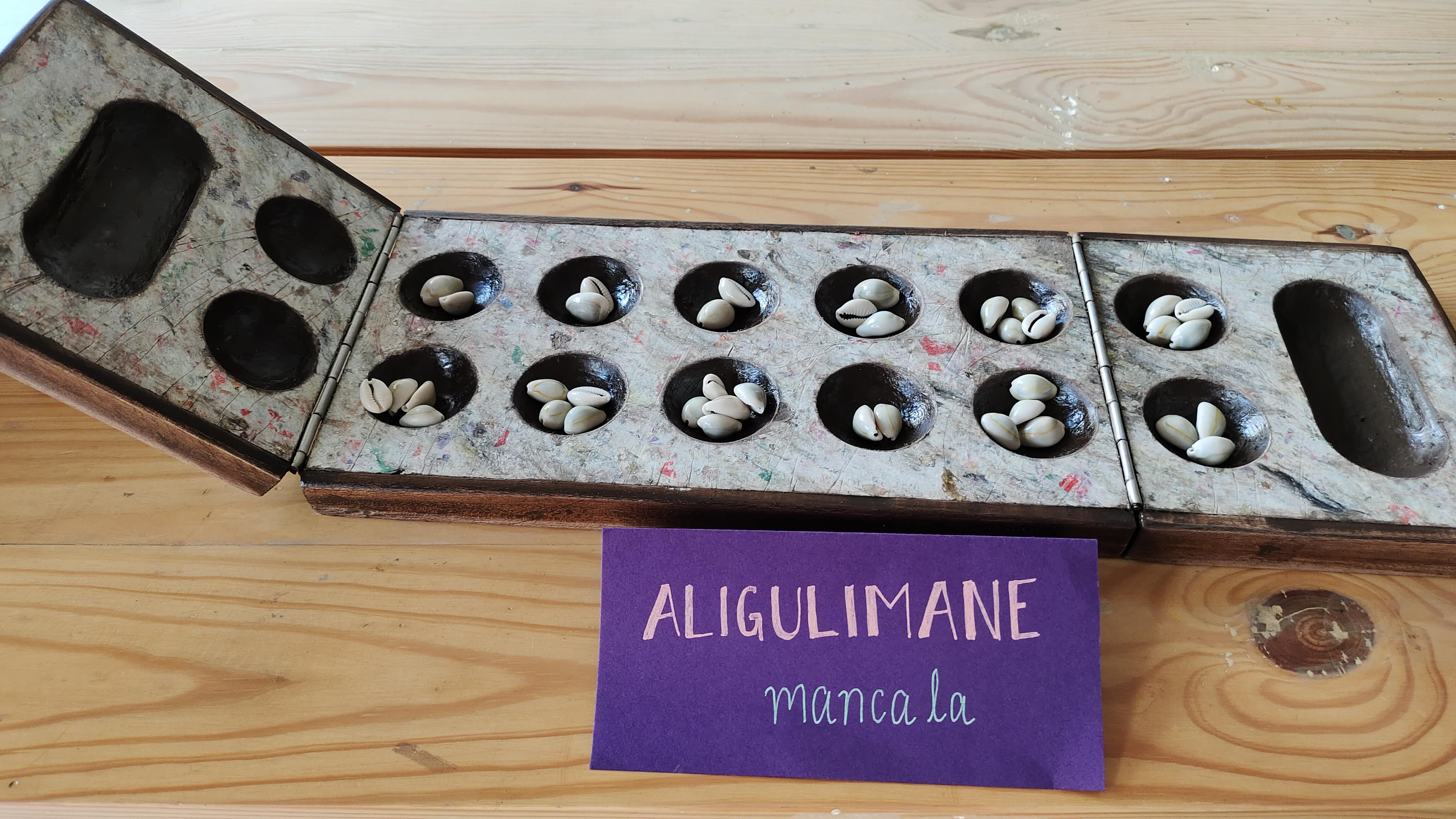 Aligulimane: Foldable gameset from recycled waterproof board image 1