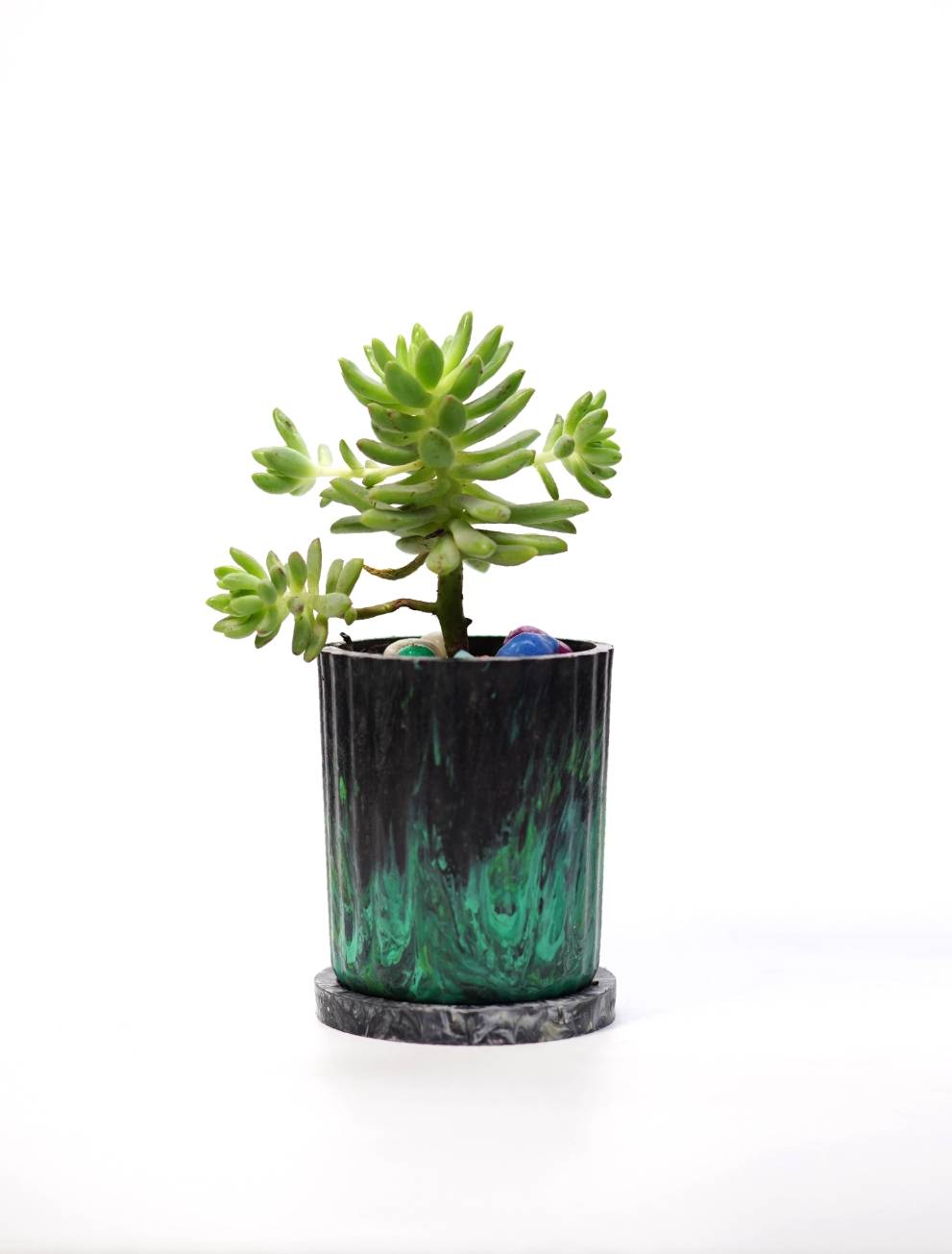 ECO-POTS : PLANTER image 1