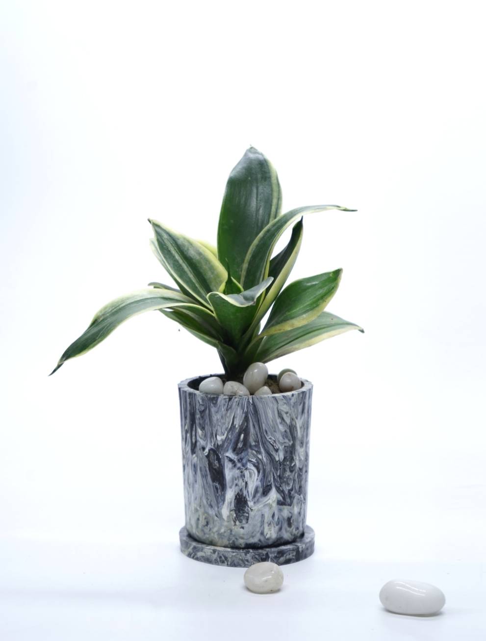 ECOPOTS – CHARCOAL