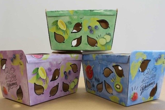 Case-3-Johannes-Fruitmanden-FP.jpg