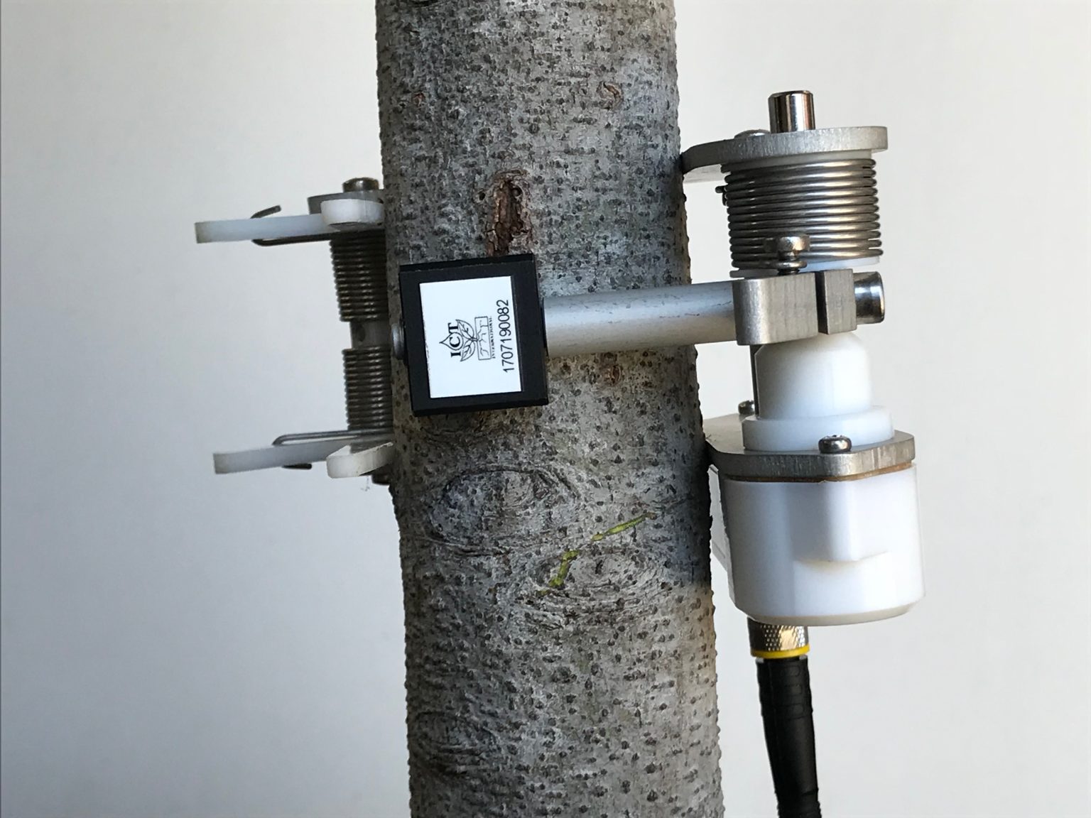 DPS-40-Installed-on-branch-vertical-1536x1152.jpg