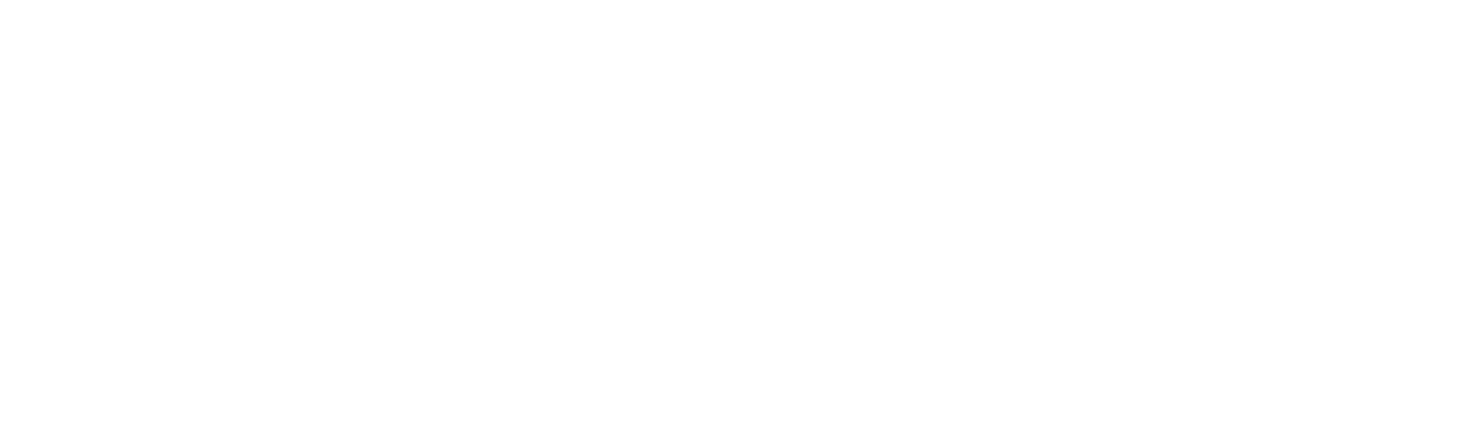 Iron&Velvet - PLASTIC FREE Cleaning Products