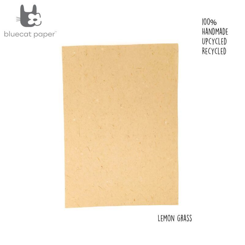 Lemon Grass Paper – Visually fibrous paper – fibrous – pack of 24 – A4 image 1