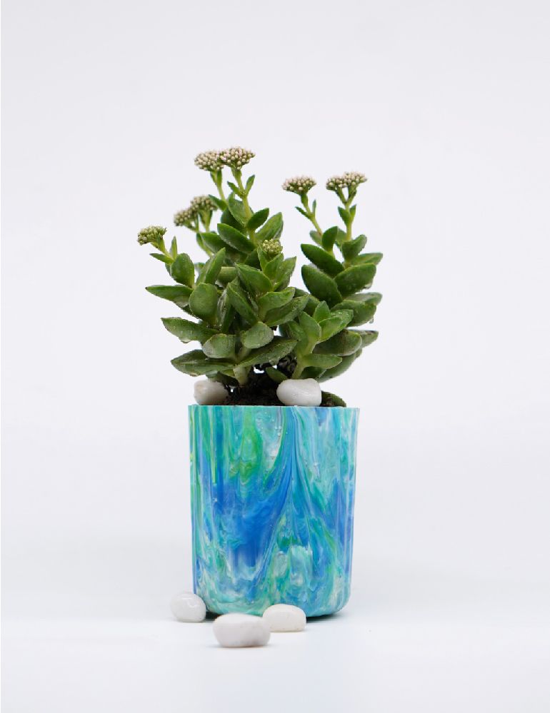 ECOPOTS : AQUAMARINE