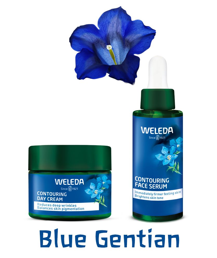 We16514[D]BlueGentian_homepage_tile (2).jpg