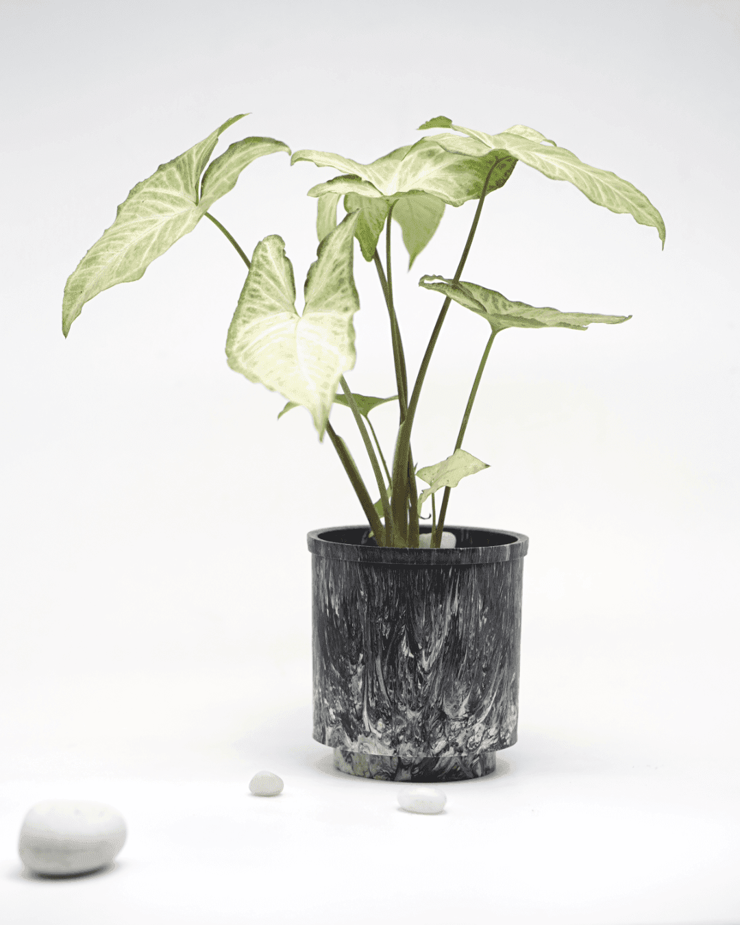 Eco-Planter I Black Luxe I Recycled image 1